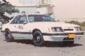 NHP Mustang's Avatar